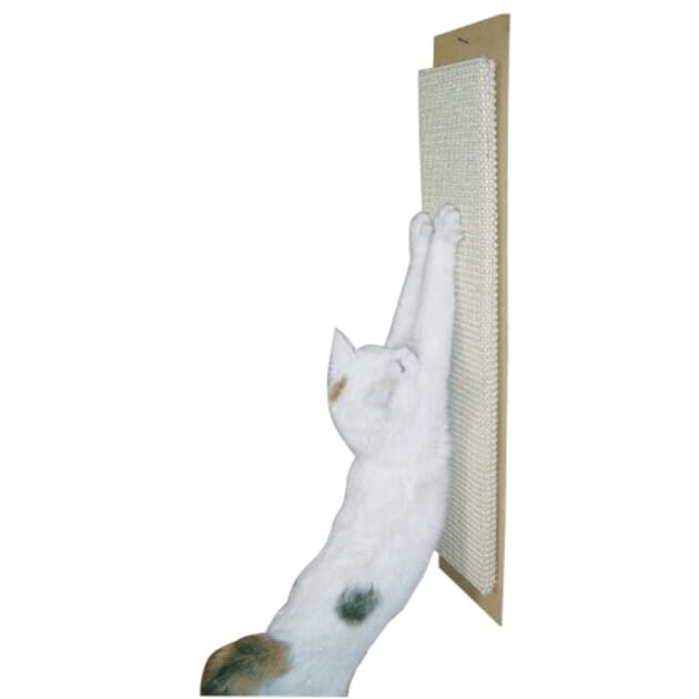 252850568 KLOREBRETT FOR KATT.jpg