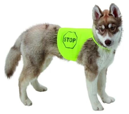 REFLEKSVEST F/ HUND M.