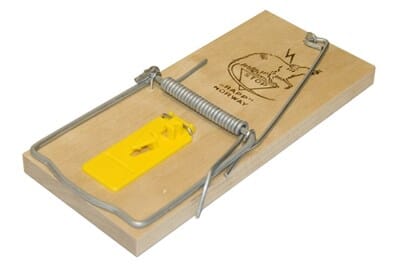 ROTTEFELLE 985            RAPP