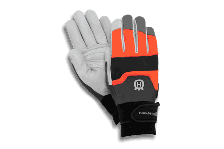 HANSKE FUNCTIONAL