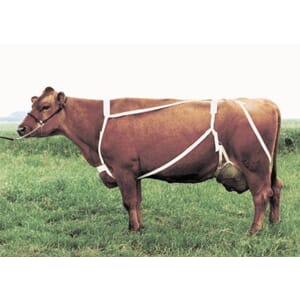 JUREBESKYTTER X-LARGE